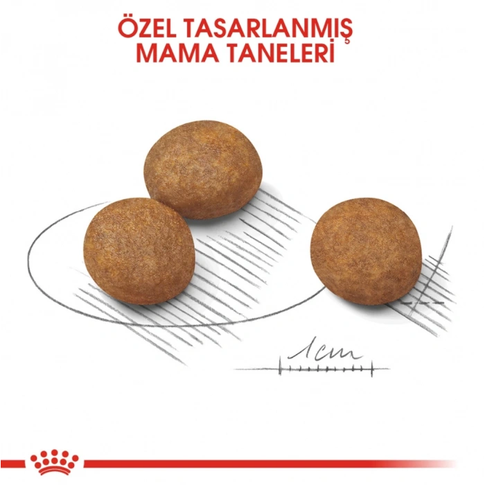 Royal Canin Shn Maxi Puppy 15Kg