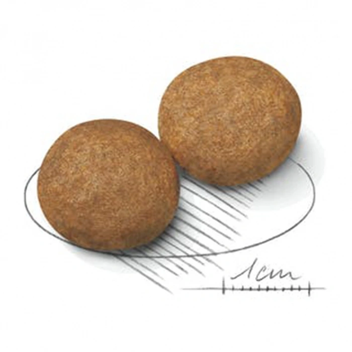 Royal Canin Shn Medium Adult 15K