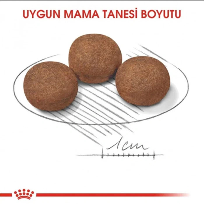 Royal Canin Shn Medium Junior 15K