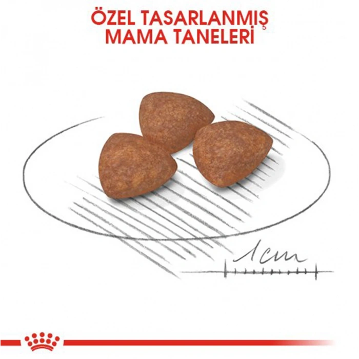 Royal Canin Shn Mini Puppy 4 Kg