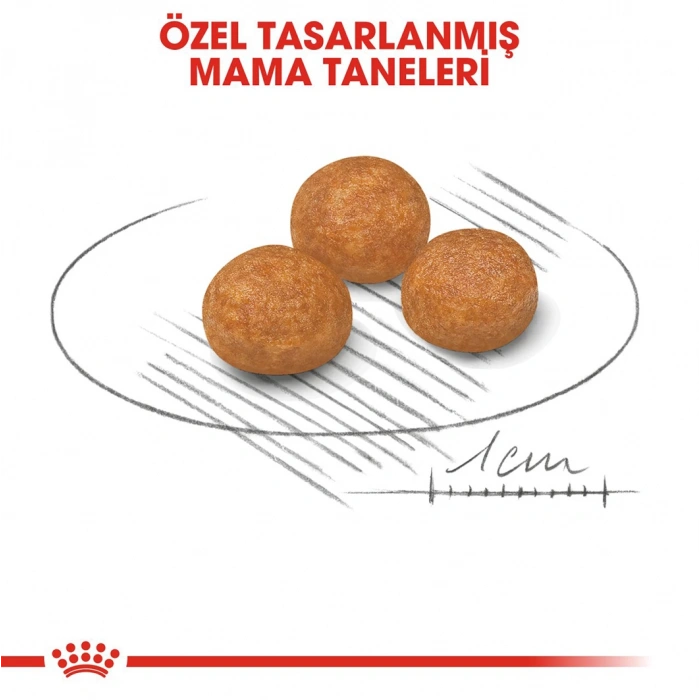 Royal Canin Shn Xsmall Adult 1,5K