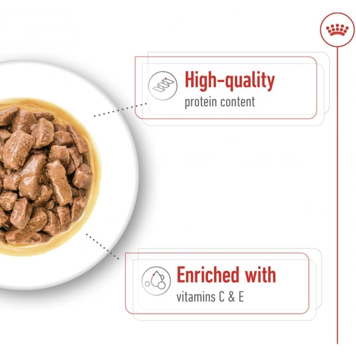 Royal Canin Sos İçinde Orta Irk Yetişkin Köpek Konservesi 140gr