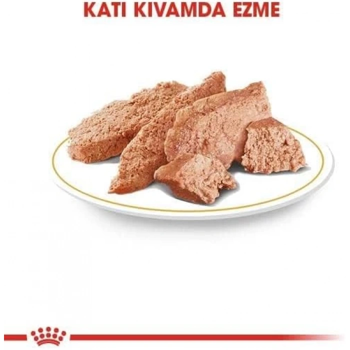 Royal Canin Yorkshire Terrier Adult Yaş Maması 85gr