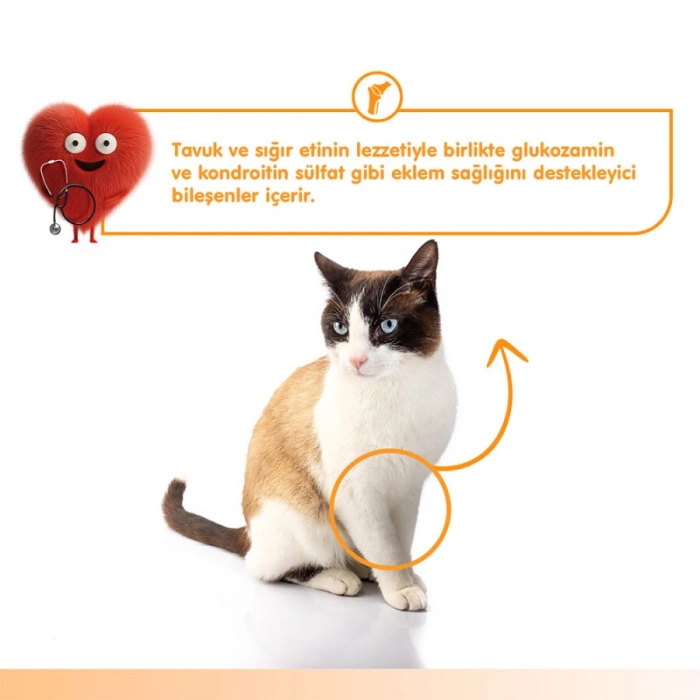 Wanpy Bone Support Sığır Eti&Tavuklu Kedi Ödülü 5x14gr