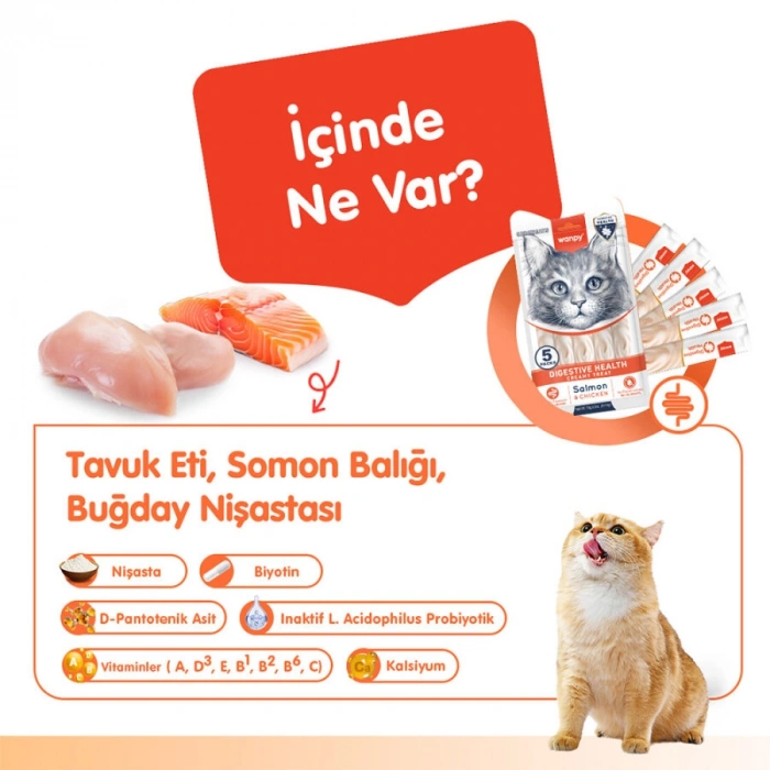 Wanpy Digestive Health Somon Balığı&Tavuklu Kedi Ödülü 5x14gr