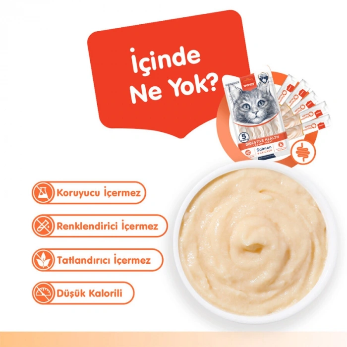 Wanpy Digestive Health Somon Balığı&Tavuklu Kedi Ödülü 5x14gr