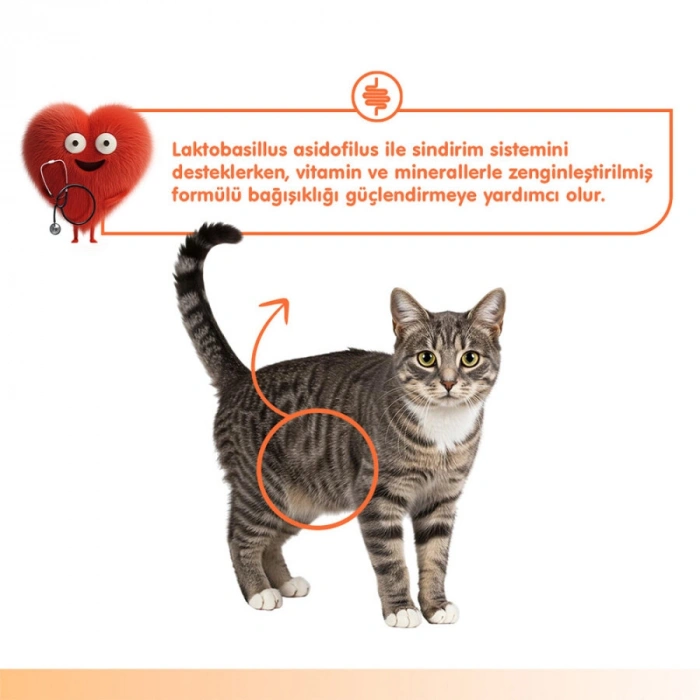 Wanpy Digestive Health Somon Balığı&Tavuklu Kedi Ödülü 5x14gr