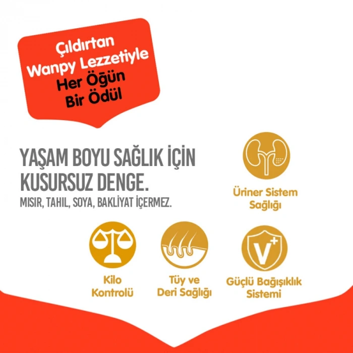 Wanpy Tahılsız Somon&Tuna Kısırlaştırılmış Kedi Maması 8 kg