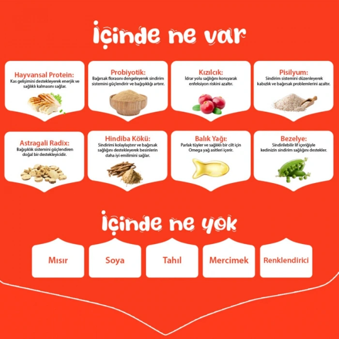 Wanpy Tahılsız Somon&Tuna Kısırlaştırılmış Kedi Maması 8 kg