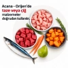 Acana Classics Wild Coast Balıklı Düşük Tahıllı Köpek Maması 9,7kg