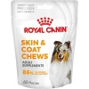Royal Canin Deri ve Tüy Sağlığı Destekleyici Yetişkin Köpek Ödül Maması 240gr