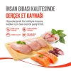 Wanpy Crunchy Pockets Tavuklu Kedi Ödül Maması 60gr