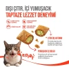 Wanpy Crunchy Pockets Catnipli ve Tavuklu Kedi Ödül Maması 60gr