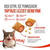 Wanpy Crunchy Pockets Somonlu ve Havyarlı Kedi Ödül Maması 60gr