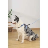 M-Pets Gentle Köpek Göğüs Tasması 36x58cm (Mavi) [M]
