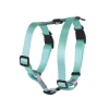 M-Pets Gentle Köpek Göğüs Tasması 25-36cm (Yeşil) [XS]
