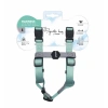 M-Pets Gentle Köpek Göğüs Tasması 31-49cm (Yeşil) [S]