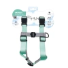 M-Pets Gentle Köpek Göğüs Tasması 36-58cm (Yeşil) [M]