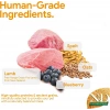 N&D Ancestral Grain Kuzu Etli Yaban Mersinli Orta ve Büyük Irk Ata Tahıllı Yavru Köpek Maması 12kg
