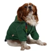 PawStar Yeşil Pluvia Küçük Irk Köpek Yağmurluk XLarge