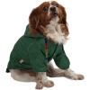 PawStar Yeşil Pluvia Küçük Irk Köpek Yağmurluk 2XLarge
