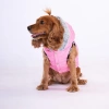 Pawstar Köpek Pink Light Wave Vest 2XLarge