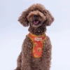 Pawstar Poodle Airmesh XS Size