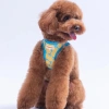 Pawstar Citrius Airmesh Xs Size 3-5 Kg