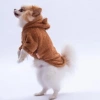 Pawstar Lucca Tedy Hodie XLarge