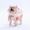 Pawstar Sappora Bear Hoodie Large