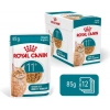 Royal Canin Ageing 11+ Sos İçinde Yaşlı Kedi Konservesi 85gr