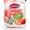 Catlife Koku Giderici Çilekli 25 Gr