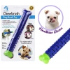 Chew Brush Diş Kaşıma ve Taşıma Aparatı