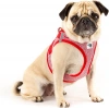 Curlı Vest Harness Merıno Red Xlarge
