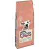 Dog Chow Adult Somonlu Hassas Yetişkin Köpek Maması 14 Kg