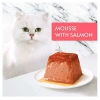 Gourmet Revelations Somonlu Kedi Konservesi 57gr (2li)