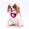 PawStar Bordo Smokin Fular