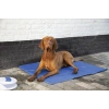 Pet Cool Mat Medium Size 40*50cm