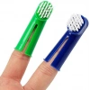 PetVoque Tooth Brush Set