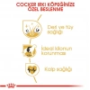 Royal Canin Bhn Cocker Adult 3K