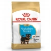 Royal Canin Bhn Yorkshire Jun 1.5K