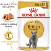 Royal Canin British Shorthair Yaş Mama Pouch 85gr