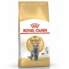 Royal Canin Fbn Brit Shorthair 2K