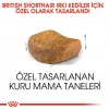 Royal Canin Fbn Brit Shorthair 2K