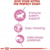 Royal Canin Fhn Kitten Jelly 85 Gr.