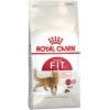 Royal Canin Fit32 Yetişkin Kedi Maması 1 Kg