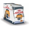 Royal Canin Intense Beauty Jöle İçinde Yetişkin Kedi Konservesi 85gr
