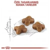 Royal Canin Kitten Yavru Kedi Maması Açık 1 Kg