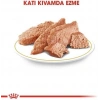 Royal Canin Persian Yaş Kedi Maması 85gr.