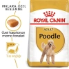 Royal Canin Poodle Adult Köpek Maması 3 Kg